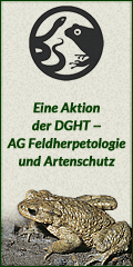 Lurch des Jahres 2012: Die Erdkröte - AG Feldherpetologie und Artenschutz