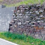 Lebensraumverlust durch Umbau von Trockenmauern