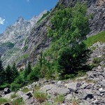 Lebensraum der Schlingnatter in den Alpen