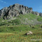 Gebiet der Erstentdeckung der „Concolor-Aspisvipern in den Alpen Frankreichs