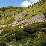 Natürlicher Lebensraum in der Schweiz
