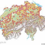 Verbreitung der Gelbbauchunke in der Schweiz auf der Basis von 25 km2-Quadranten. Rote Punkte: Nachweise ab 2005, gelbe Punkte: Nachweise bis 2004 (Quelle: karch, Schweiz)