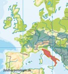 Das Verbreitungsgebiet der Gelbauchunke in Europa (Bombina variegata: grün; Bombina pachypus: rot)