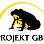 Logo Projekt Gelbbauchunke
