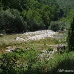 Lebensraum von Rana graeca im Canyon des Flusses Rakitnica, Sarajevski kanton, 08.08.2012, Foto M. Radaković.