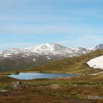 Lebensraum und Fortpflanzungsgewässer von Rana temporaria temporaria, Tundra-Weiher auf 485 m ü. NN, ca. 69° 37 nördlicher Breite, in der Nähe des nördlichen Arealrandes der Art, Fylke Troms, 29.06.2008, Foto F. Broms.
