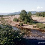 Lebensraum Bufo viridis complex (viridis), Nyzhnje Selyshche, Chustskyj rajon, Sakarpatska oblast, 07.05.1996, Foto K. Grossenbacher.