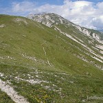 Lebensraum Vipera ursinii ursinii, Campo Imperatore (Parco Nazionale del Gran Sasso e Monti della Laga), nordöstlich Assergi, Provincia dell’Aquila, Regione Abruzzo, Juni 1995, Foto: J. Vetter.
