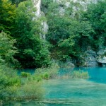 Lebensraum Iberolacerta horvathi, Felsbereiche am Jezero Gavanovac im Nationalpark Plitvička jezera, Istarska županija, 21.08.1990, Foto: A.+Ch. Nöllert.