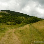 Lebensraum von Anguis colchica in den Trascău Bergen bei Rimetea, Judeƫ Alba, 29.06.2011, Foto T. Sos.