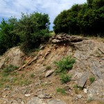 Lebensraum Laudakia stellio daani, Halbinsel Chalkidiki, Makedonía, 04.05.2012, Foto: B. Trapp (www.bennytrapp.de).