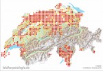 Verbreitung in der Schweiz auf der Basis von 25-km²-Quadranten. Rot: Nachweise ab 2005; gelb: Nachweise bis 2004 (meist auf fehlende Kartierungsaktivität zurückzuführen). Quelle: karch.