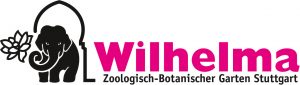 reptil-des-jahres-2017-blindschleiche-anguis-fragilis-sponsor_willhelma
