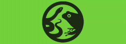 Lurch/Reptil des Jahres