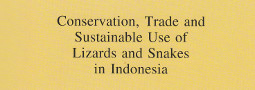 Mertensiella Band 9: Lizards and Snakes of Indonesia