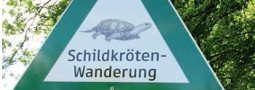 Gefährdungsstatus der Europäischen Sumpfschildkröte